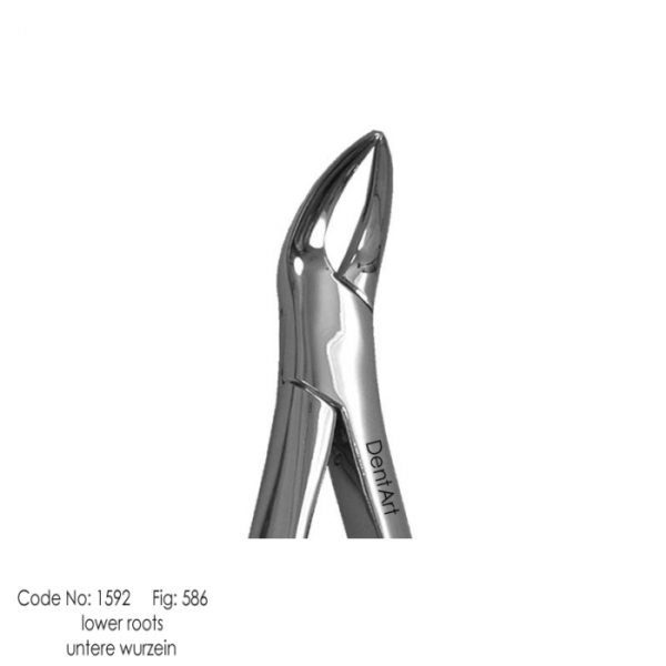 Lower Fine Root Forceps #586 Hole Handle