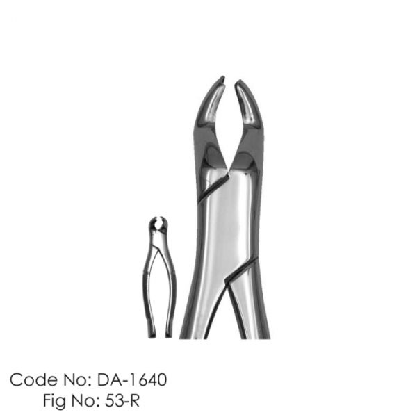 USA Type Extraction Forceps #53 R Finger Handle