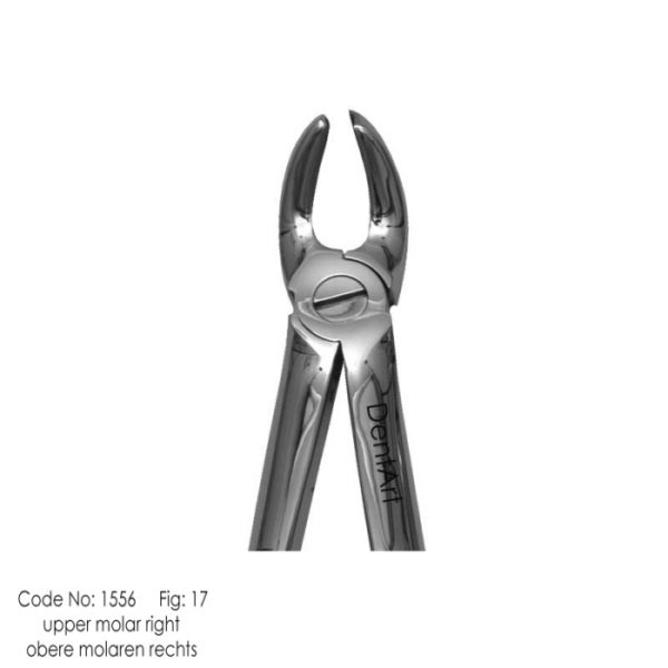 Upper molar right No. 17 knurl Extraction Forceps