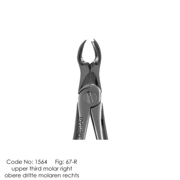 Upper third molar No.67-R knurl Extraction Forceps