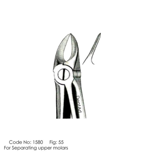 For Separating Upper Molars #55 Knurl Extraction Forceps