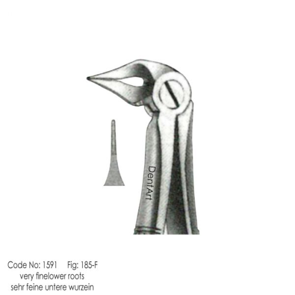 fine lower root No. 185-F knurl Extraction Forceps