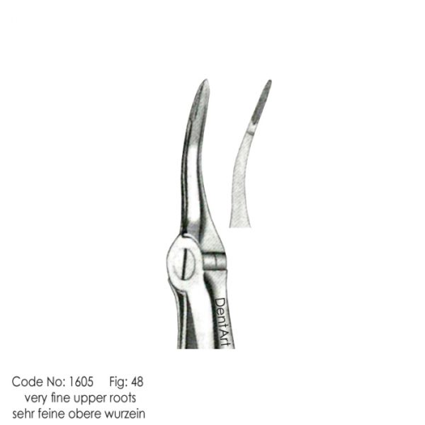 very fine upper root 48 knurl Extraction Forceps