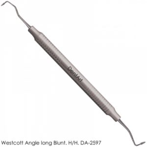 Westcott Angle Long Blunt Hollow