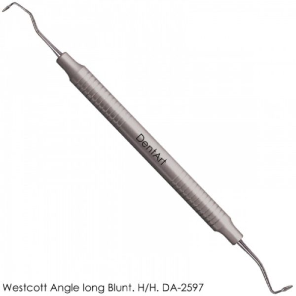 Westcott Angle Long Blunt Hollow