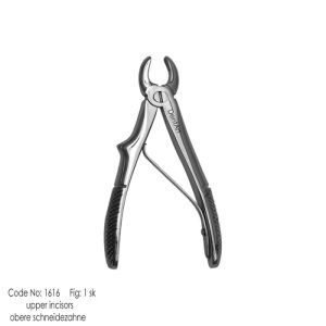 Pedo - Upper Incisor fig. 1 sk knurl