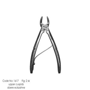 Pedo - Upper Cuspids fig. 2 sk knurl