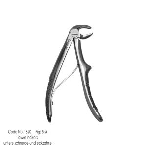 Pedo - Lower Incisors fig. 5 sk knurl