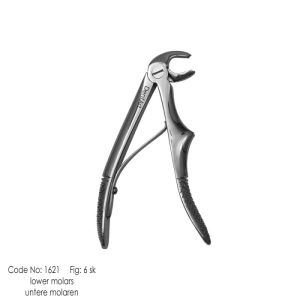 Pedo - Lower Molar fig. 6 sk knurl