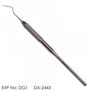 Explorer DG1 Hollow