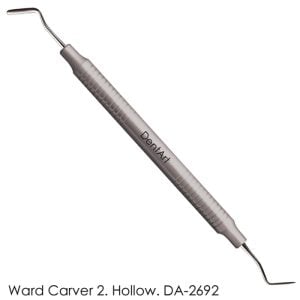 Ward 2 Carver Hollow