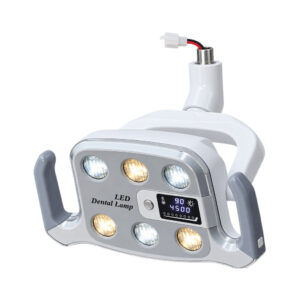 LED Light Head Only