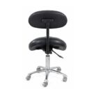 Saddle Stool with Backrest (2)