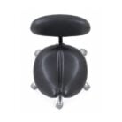 Saddle Stool with Backrest (5)